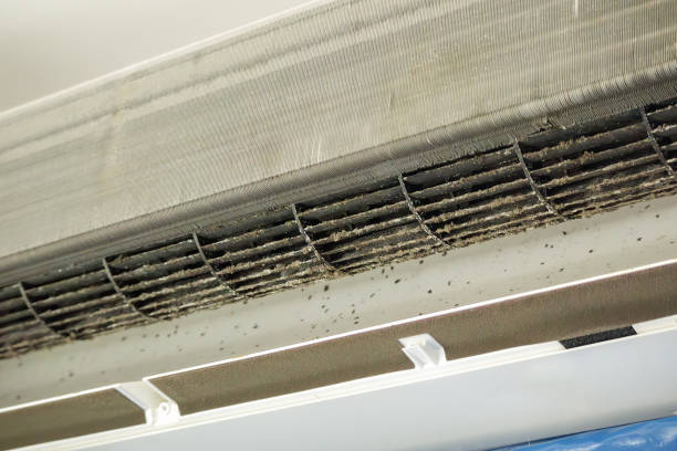 Best Best Air Duct Cleaning Company  in Kendale Lakes, FL